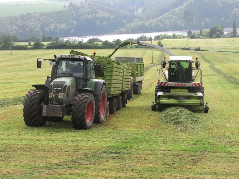 Rinderhof Agrar GmbH Seubtendorf – Schulessen Saale-Orla